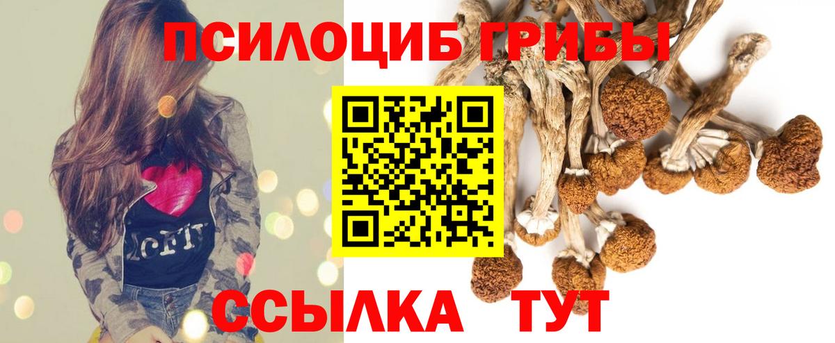 Псилоцибиновые грибы прущие грибы Тимашёвск