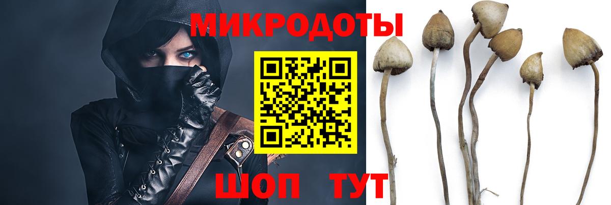 Галлюциногенные грибы мицелий  Вход с VPN  Галлюциногенные грибы Psilocybine cubensis  Тимашёвск 